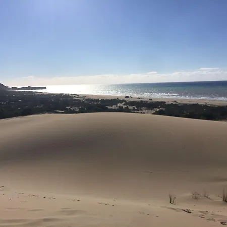 Beso Patara