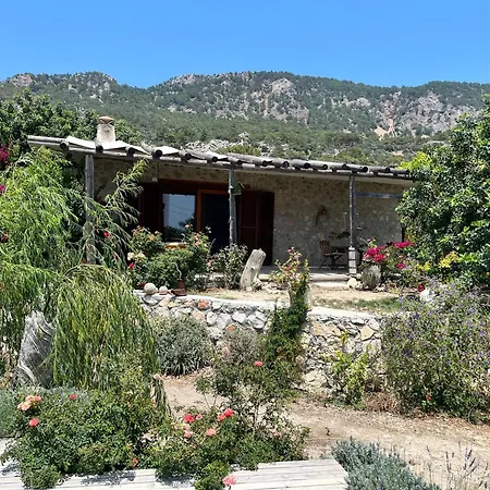 Beso Hotel Patara